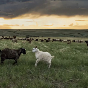 ❌❌❌美女裸体隐私视频
